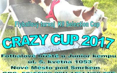 Crazy Cup 2017