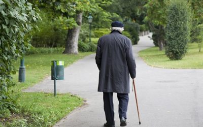 Do hledání seniora na Turnovsku se zapojili i psovodi z Hejnic