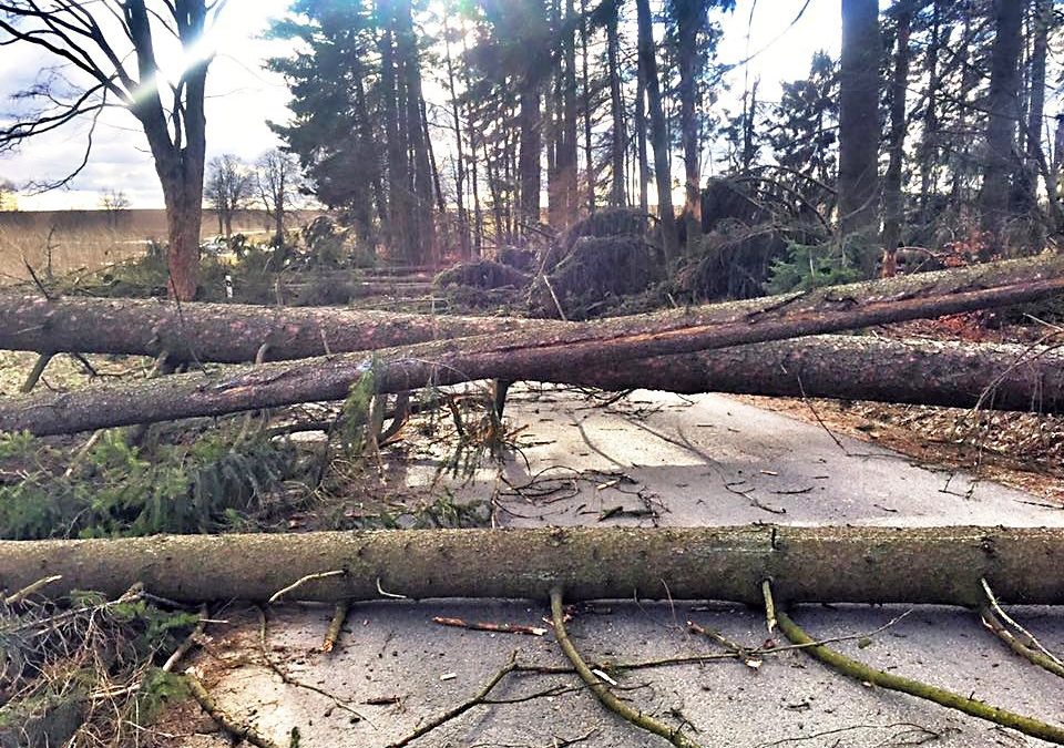 Meteorologové rozšířili výstrahu před silným větrem také pro Liberecko