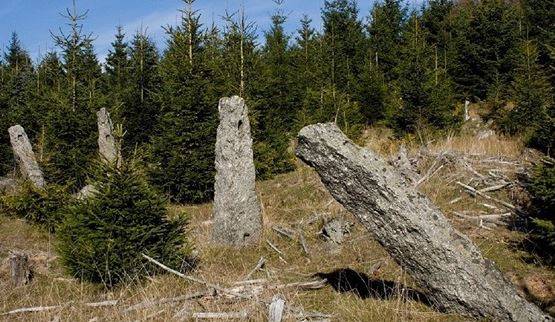 V horách stojí osm tisíc sloupků, hraběcí obora se možná stane památkou