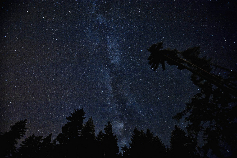 V noci z dneška na pondělí bude vidět na obloze roj Perseidů