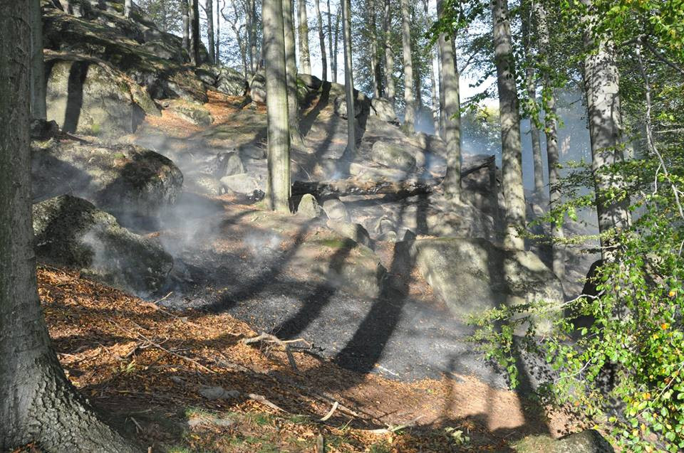 VIDEO: U Raspenavy hoří několik hektarů lesa. Na místo byl povolán vrtulník