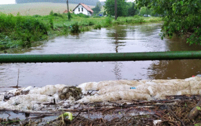 Psi větřili, že se blíží voda. Frýdlantsko počítá škody po povodních