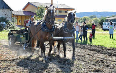 Zemědělcem na zkoušku. Projekt cílí na lidi, kteří chtějí začít farmařit