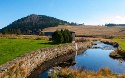 Bukovec je rájem květin a odmění turisty výhledem