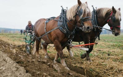 Rodinná farma Lukava a místní produkty bez kompromisů