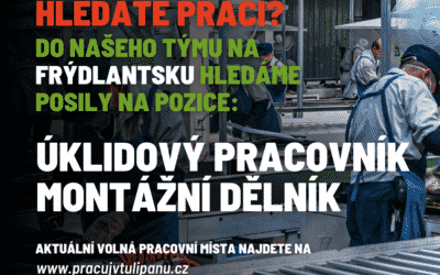 Sdružení TULIPAN hledá posily do pracovního týmu na Frýdlantsku